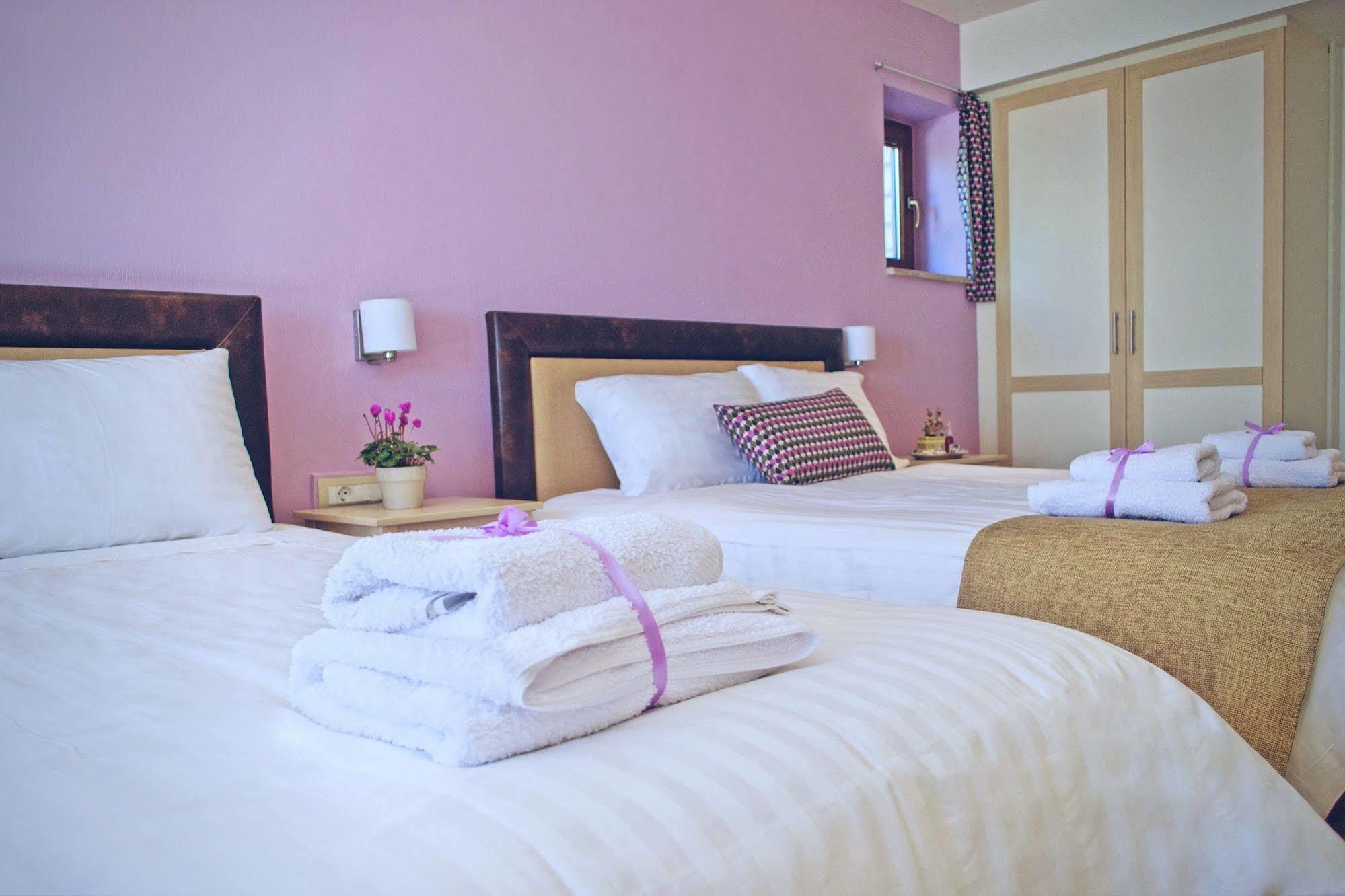 Arktos Hotel Ioannina Luaran gambar